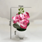 MiniZen Artificial Bonsai Plant Potted Fake Tree For Home Desk Decor 9