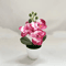 MiniZen Artificial Bonsai Plant Potted Fake Tree For Home Desk Decor 6