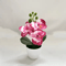 MiniZen Artificial Bonsai Plant Potted Fake Tree For Home Desk Decor 6