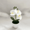 MiniZen Artificial Bonsai Plant Potted Fake Tree For Home Desk Decor 7