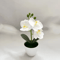 MiniZen Artificial Bonsai Plant Potted Fake Tree For Home Desk Decor 7