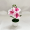 MiniZen Artificial Bonsai Plant Potted Fake Tree For Home Desk Decor 8