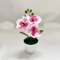 MiniZen Artificial Bonsai Plant Potted Fake Tree For Home Desk Decor 8