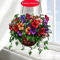 SunBloom Acrylic Hanging Plant Suncatcher Basket Decor For Home And Window 2