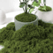GreenScape DIY Artificial Moss Decor For Crafts Garden And Home Styling 1