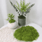 GreenScape DIY Artificial Moss Decor For Crafts Garden And Home Styling 6