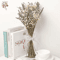 BlushLavender Dried Flower Bouquet Pampas Gypsophila Boho Decor 0