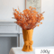 BlushLavender Dried Flower Bouquet Pampas Gypsophila Boho Decor 9