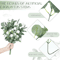 EverLeaf Mixed Artificial Eucalyptus Leaves Bulk For Wedding Floral Decor 1