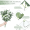 EverLeaf Mixed Artificial Eucalyptus Leaves Bulk For Wedding Floral Decor 1