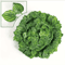 GreenVibe 100PCS Artificial Ivy Garland 2M Hanging Vines For Wall Garden Decor 9