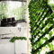 GreenVibe 100PCS Artificial Ivy Garland 2M Hanging Vines For Wall Garden Decor 3