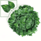 GreenVibe 100PCS Artificial Ivy Garland 2M Hanging Vines For Wall Garden Decor 5