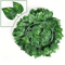 GreenVibe 100PCS Artificial Ivy Garland 2M Hanging Vines For Wall Garden Decor 5