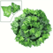 GreenVibe 100PCS Artificial Ivy Garland 2M Hanging Vines For Wall Garden Decor 6