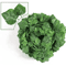 GreenVibe 100PCS Artificial Ivy Garland 2M Hanging Vines For Wall Garden Decor 7