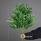GreenAura Tall Artificial Eucalyptus Plant Tropical Willow Faux Tree Decor 6