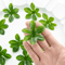 FloraFlex 50PCS Artificial Hanging Bell Leaf Rose Vine Decor Set 2
