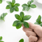 FloraFlex 50PCS Artificial Hanging Bell Leaf Rose Vine Decor Set 1