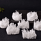 Natural White Quartz Crystal Cluster Healing Mineral Specimen Raw Home Decor 4