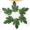 50PCS Artificial Watermelon Leaves DIY Craft Greenery For Weddings Scrapbooking Decor 0