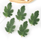 50PCS Artificial Watermelon Leaves DIY Craft Greenery For Weddings Scrapbooking Decor 2