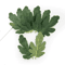 50PCS Artificial Watermelon Leaves DIY Craft Greenery For Weddings Scrapbooking Decor 4
