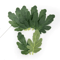 50PCS Artificial Watermelon Leaves DIY Craft Greenery For Weddings Scrapbooking Decor 4