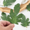 50PCS Artificial Watermelon Leaves DIY Craft Greenery For Weddings Scrapbooking Decor 5