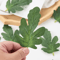 50PCS Artificial Watermelon Leaves DIY Craft Greenery For Weddings Scrapbooking Decor 5