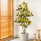 Large Artificial Banyan Tree Ficus Plant Realistic Tropical Indoor Decor 1