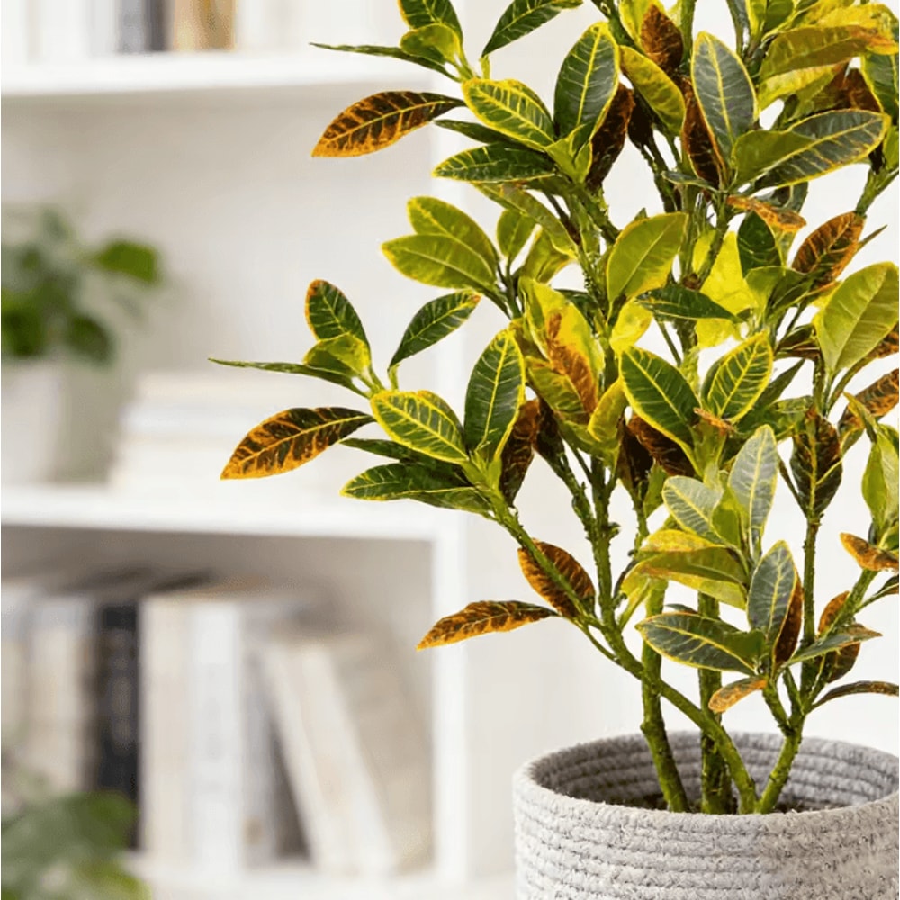 Large Artificial Banyan Tree Ficus Plant Realistic Tropical Indoor Decor 4