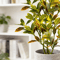 Large Artificial Banyan Tree Ficus Plant Realistic Tropical Indoor Decor 4
