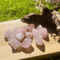 Natural Rose Quartz Rough Stone Pink Crystal Aromatherapy Diffuser Healing Decor 2