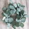 10PCS Artificial Eucalyptus Leaves Stems Silk Greenery For DIY Crafts Wedding Home Decor 1