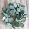 10PCS Artificial Eucalyptus Leaves Stems Silk Greenery For DIY Crafts Wedding Home Decor 1