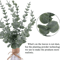 10100PCS Artificial Eucalyptus Leaves Bulk Greenery For DIY Crafts Wedding Home Decor 3