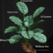 Artificial Monstera Leaf Bouquet Tropical Faux Plant Decor For Home Events 5