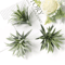 10PCS Artificial Greenery Leaves Set DIY Floral Craft Wedding Decor Accents 11