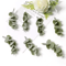 10PCS Artificial Greenery Leaves Set DIY Floral Craft Wedding Decor Accents 14