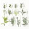 10PCS Artificial Greenery Leaves Set DIY Floral Craft Wedding Decor Accents 18