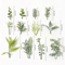 10PCS Artificial Greenery Leaves Set DIY Floral Craft Wedding Decor Accents 18