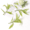 10PCS Artificial Greenery Leaves Set DIY Floral Craft Wedding Decor Accents 1