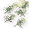 10PCS Artificial Greenery Leaves Set DIY Floral Craft Wedding Decor Accents 3