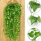 10PCS Artificial Ivy Leaf Garland Hanging Greenery Vines For Home Event Decor 0