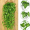 10PCS Artificial Ivy Leaf Garland Hanging Greenery Vines For Home Event Decor 0