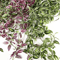 Artificial Eucalyptus Hanging Vine Realistic Greenery Garland For Home Event Decor 1