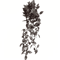 Artificial Eucalyptus Hanging Vine Realistic Greenery Garland For Home Event Decor 4