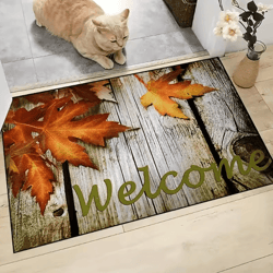 wooden box trap print doormat – washable absorbent indoor entryway rug