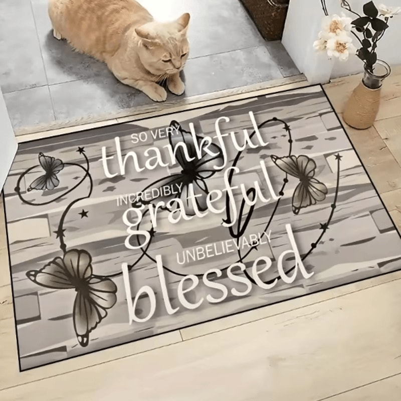 Wooden Box Trap Print Doormat Washable Absorbent Indoor Entryway Rug 4